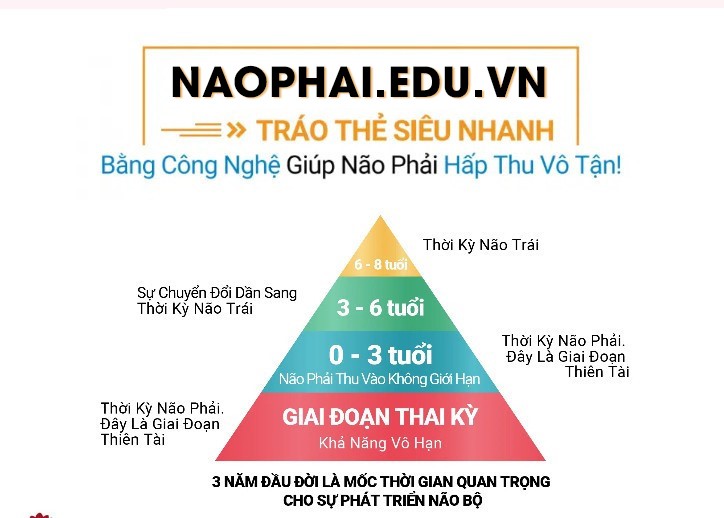 NAOPHAI.EDU.VN